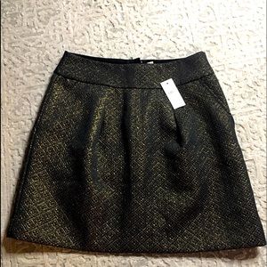 Ann Taylor Loft Skirt Size 2